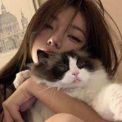 L4wW - Baby girl Ft.SUNCH! ( Prod.Shem & Miguelisaneko )