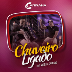 Chuveiro Ligado (feat. Wesley Safadão)