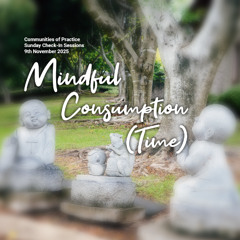 Mindful Consumption (Time)