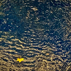 Oh Those Tadpoles Move So Fast, Waterous Musical Notations