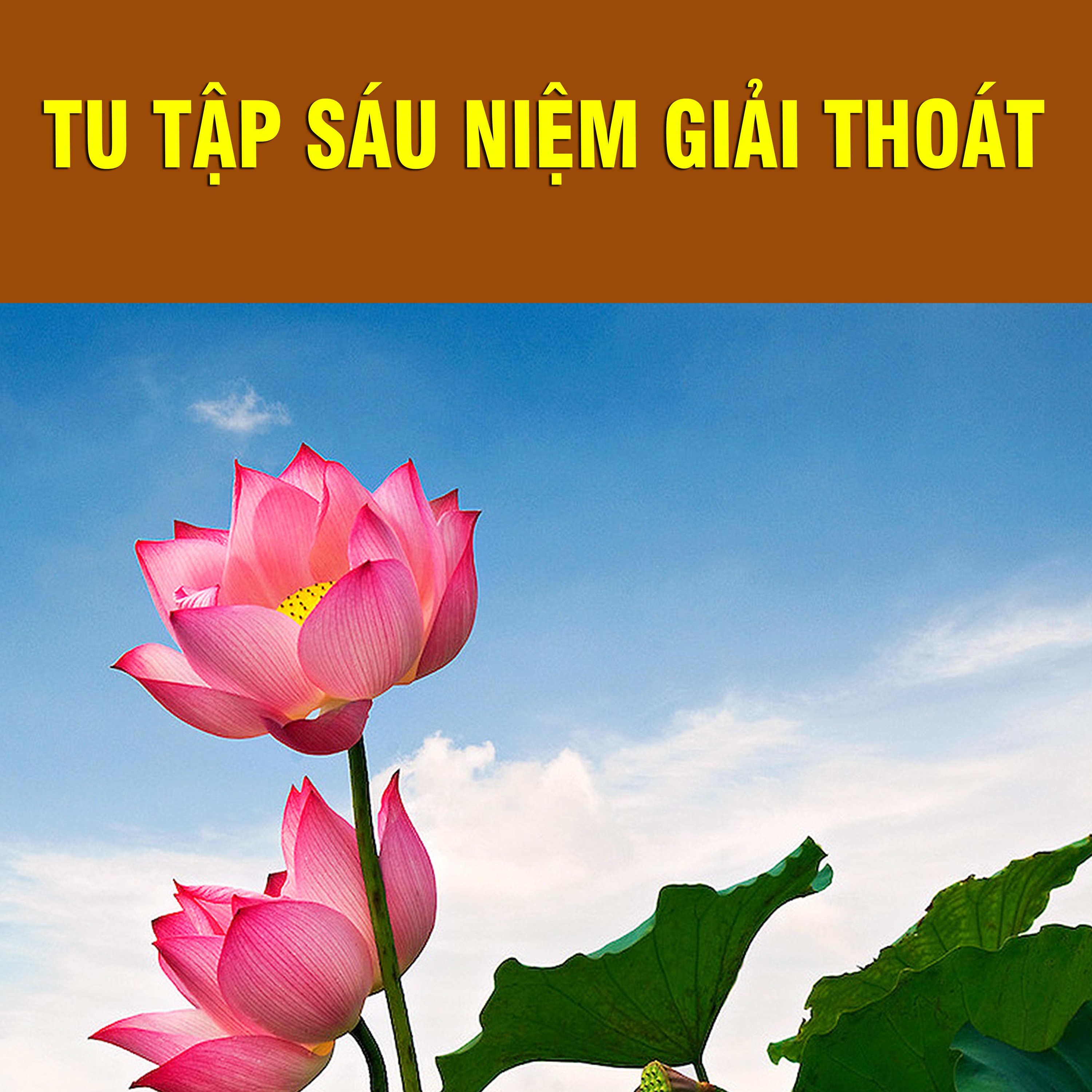 Tu Tập Sáu Niệm Giải Thoát episode artwork