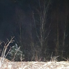 Blue Christmas - Cover