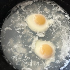 Egg