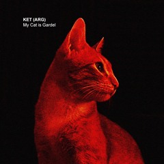 KET (ARG) - My Cat Is Gardel (Original Mix)