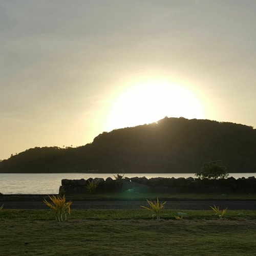 Dee's Summer Vibes 4