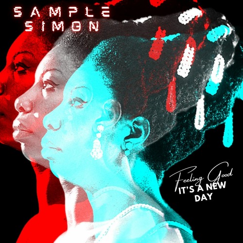 Stream Nina Simone Feeling Good (SAMPLE SIMON 23 REMIX) FREE DOWNLOAD by  SAMPLE SIMON | Listen online for free on SoundCloud