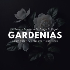 La Sonora Santanera - Dos Gardenias Ft. Diego El Cigala (Gletzzi & Adam Valey Unofficial Remix)