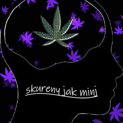 Skureny Jak Minj FT. Matëy