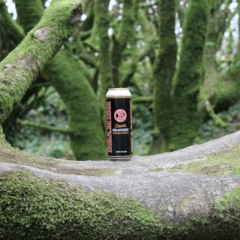 Something About Us X