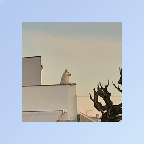 it's just a phase (it's not)[Now on Spotify]