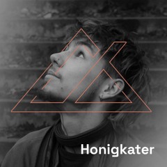 Honigkater - Tiefdruck Podcast #142