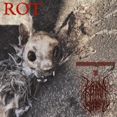 Rot ft. koatashawty (prod. Domyno)