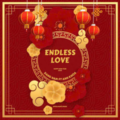 EndLess Love - DANG NAM FT ANH KHOA MIX