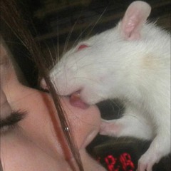 Holla @ Me When U Break Up W/ Ur BF