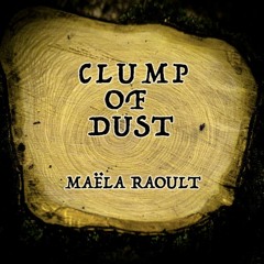 Clump Of Dust