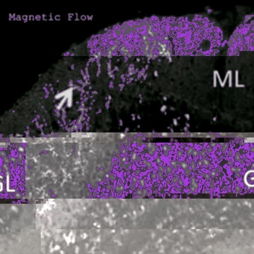Magnetic Flow Osirus Jack Feat Kusko Tw ( C&S)
