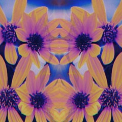 sertraline