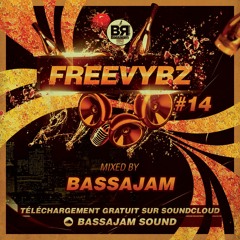 FREEVYBZ #14 SELECTION HAPPY NEW YEAR mix by SELECTA NO-A