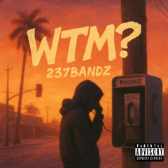 WTM? (prod. claysotrash)