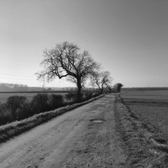 'I've wandered many A weary mile' from Love Songs for Mary Joyce (2016)