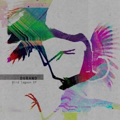 Durand - Bird Lagoon - Mordisco remix