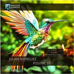 MHR565 Julian Rodriguez - Positive EP [Out February 16]