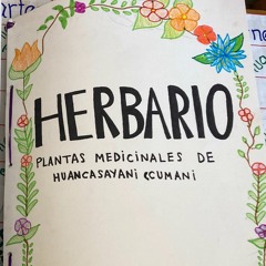 Plantas medicinales para aliviar el dolor de cabeza