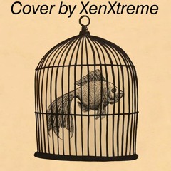 Fish Inside A Birdcage - XenXtreme's cover