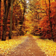 Seasons Change (with Tiek Tall and DYLXN!!) (prod. everestdidthis)