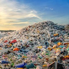 Basura & Persy - This Is Garbage