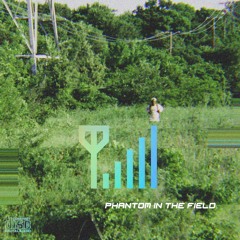 marrcb. - Phantom In The Field