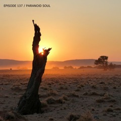 Poisonoise Music - Guest Mix - EPISODE 137 - PARANOID SOUL