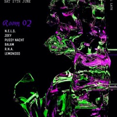 nels @ Systematic 27.06.2020