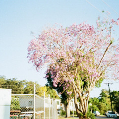Work & Title II