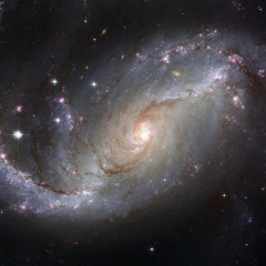 Universo/Alien