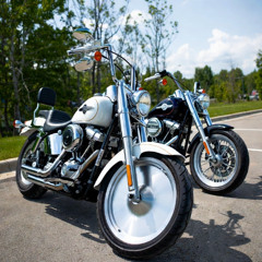 Un p’tit bat à Beauport.