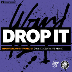 Drop It (feat. Ward 21) (Aries & Kelvin 373 Remix)