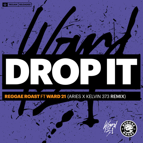 Drop It (feat. Ward 21) (Aries & Kelvin 373 Remix)