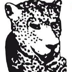 Tiger & Woods Hybrid A002