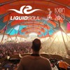Liquid Soul @ Boom Festival 2023 (Alchemy Floor) DJ mix artwork - Electronic music tracklist cover image