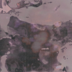 Trois-Quarts Taxi System - 13 Février 2026