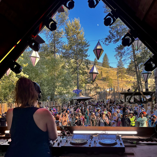 Live @ Bass Coast 2024
