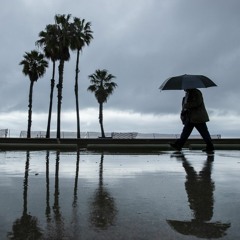 Rainy Day LA (2020.03.14)