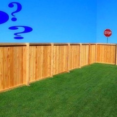 stop tryna ego #pariah