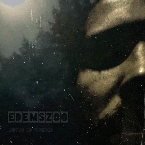 Edemszoo Feat.Aspecth - In The Rhythm Of Reggae (2018)