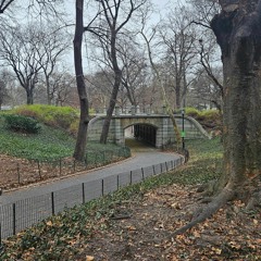 Winter Central Park '24