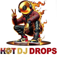 Dj Funzy Party People Drop Vocal FX Only
