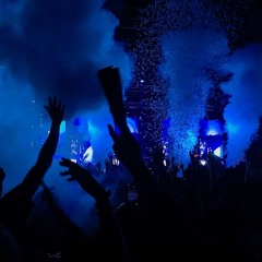 BOOM BAM DECK - HONO X DYNOX 2025