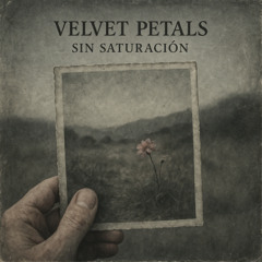 Sin Saturación