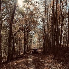 To Be A Pillar-Alabama YM 2024 (English, Creole, and Spanish[Springville Youth & Children])